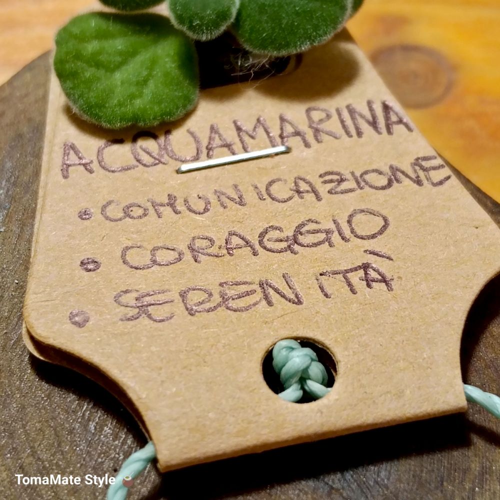 Su Coccu Acqua Marina